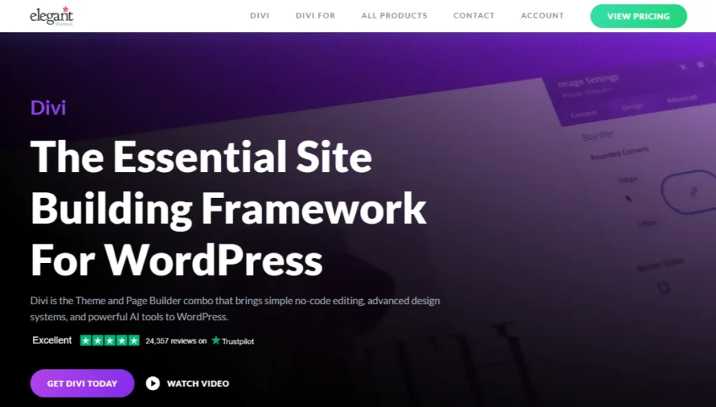 Screenshot of Divi wordpress theme's homepage.